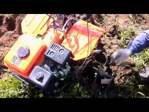 Видео: Разработка целены мотокультиватором Skiper SK850