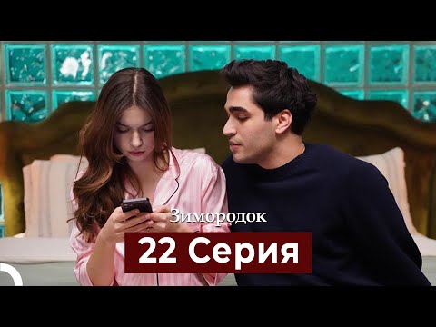 Видео: Зимородок 22 Cерия (Русский дубляж)