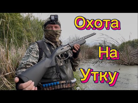 Видео: Охота на утку /ружьё мр 155