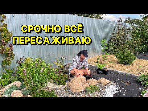 Видео: ЗАЧЕМ Я ЭТО САЖАЛА?🙈 Опять переделывать!