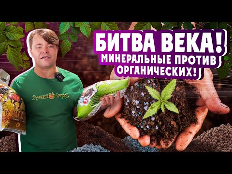 Видео: ОРГАНИЧЕСКИЕ ИЛИ МИНЕРАЛЬНЫЕ УДОБРЕНИЯ