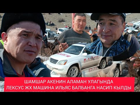 Видео: ШАМШАР АКЕНИН АЛАМАН УЛАГЫНДА 4-болум ЛЕКСУС ЖХ МАШИНА ИЛЬЯС БАЛБАНГА НАСИП КЫЛДЫ