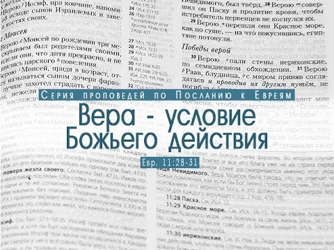 Видео: Проповедь: "Вера - условие Божьего действия" (Алексей Коломийцев)