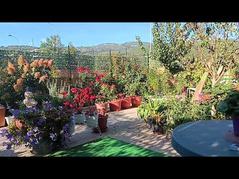 Видео: Первое Знакомство с МУЖЧИНОЙ В ИТАЛИИ,😜 ...СТАВИМ,👍👍👍👍👍