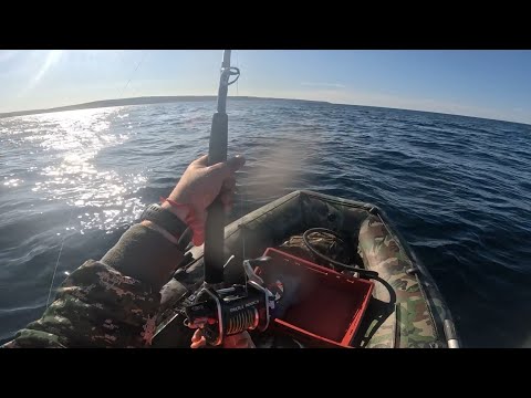 Видео: ПОЛУОСТРОВ РЫБАЧИЙ,ВТОРОЙ ДЕНЬ НА БАРЕНЦЕВОМ МОРЕ,РЫБАЛКА СУПЕР