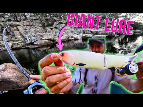 Видео: Рыбалка на ГИГАНТСКИЕ приманки: гигантская треска НАПАДАЕТ на мою рыбу!