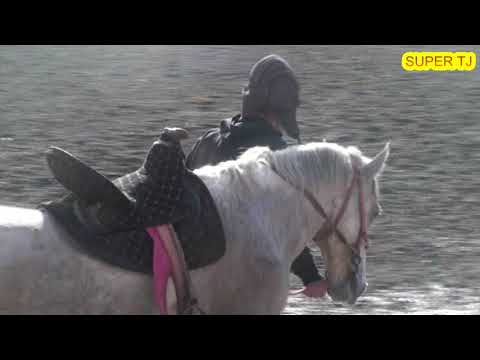 Видео: МУСОБИКАИ БУЗКАШИ  | САБЗИХАРФ | ГОЛИБИ МУСОБИКА МУМИН ЧОВАНДОЗ ТАВИЛДАРА.