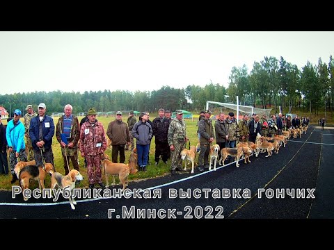 Видео: Республиканская выставка гончих г.Минск-2022