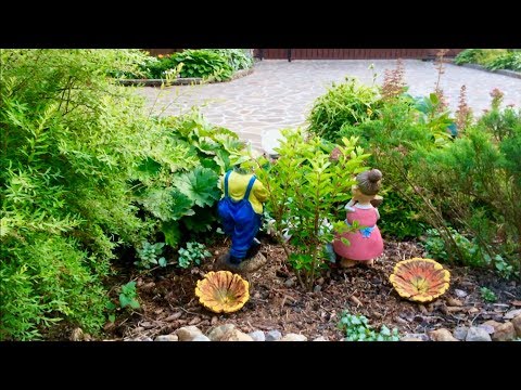 Видео: РАСТЕНИЯ "АГРЕССОРЫ". ДЕКОРАТИВНЫЕ, КРАСИВЫЕ, НО..........