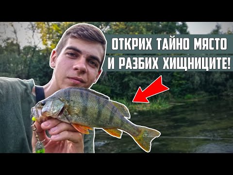 Видео: ОТКРИХ ТАЙНО МЯСТО на РЕКАТА ПЪЛНО С ХИЩНИЦИ! (РИБОЛОВ на ЩУКА, КОСТУР, КЕФАЛ и РАСПЕР)