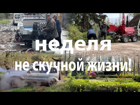 Видео: Что тормозит бизнес сегодня?!Диагностика лодочного мотора.Покатушки на ниве.