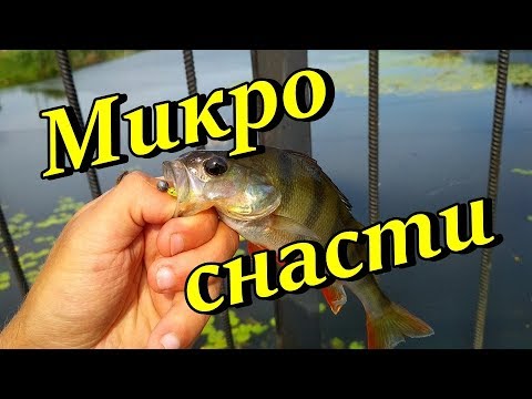 Видео: С весны! Ловля окуней на форелевый спиннинг flagman areata! Микро снасти - вот в чём кайф рыбалки!