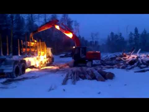 Видео: #Макс #Вертиго#Тайга   тайга  #суровый #край #лесовозам