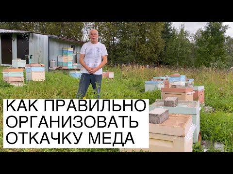 Видео: КАК ПРАВИЛЬНО ОРГАНИЗОВАТЬ ОТКАЧКУ МЕДА