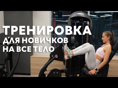 Видео: ПЕРВАЯ тренировка для НОВИЧКОВ в тренажерном зале I Полная инструкция всего за 11 МИНУТ