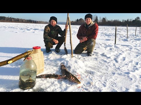 Видео: ПЕРВЫЙ ЛЁД. ЛОВИМ НАЛИМА НА ТЫЧКИ.