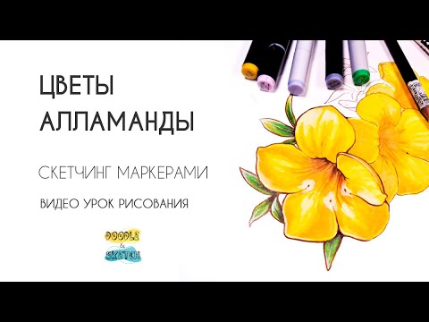 Видео: Как нарисовать цветы маркерами. Урок по скетчингу для начинающих