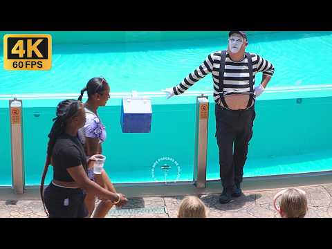 Видео: Мим Том в шоу, полном уморительных выходок 😂🤣 #tomthemime #seaworldmime