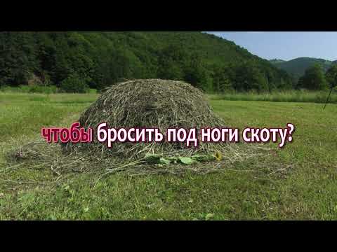 Видео: Косари на лугу, Караоке