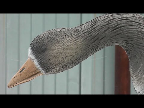 Видео: Как делают чучела гусей для охоты