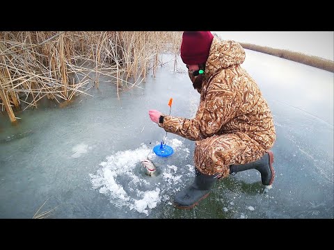 Видео: ЖЕНА ПЕРВЫЙ РАЗ ЛОВИТ ЩУКУ НА ЖЕРЛИЦЫ. Зимняя рыбалка на жерлицы.