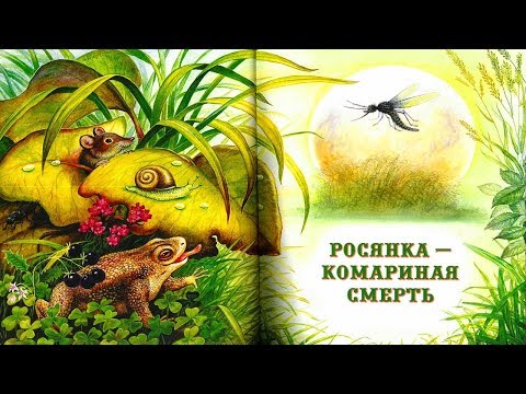 Видео: КОМАРИНАЯ СМЕРТЬ | Виталий Бианки | аудио сказка | Аудиосказки |Сказки на ночь|Слушать сказки онлайн