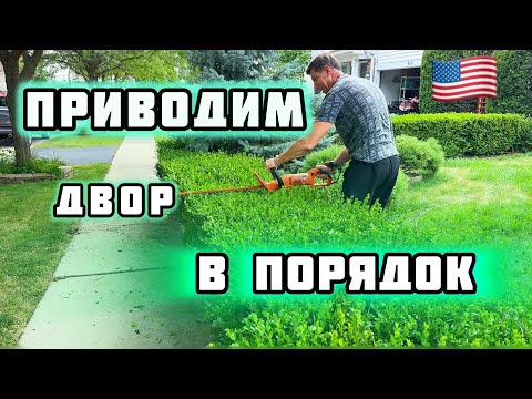 Видео: Купили технику | УЧАСТОК преобразился | дом в США #familyvlog #home #жизньвсша #иммиграция