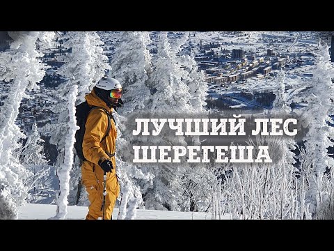 Видео: Шерегеш. Показываю насколько красивый фрирайд в Томском лесу.