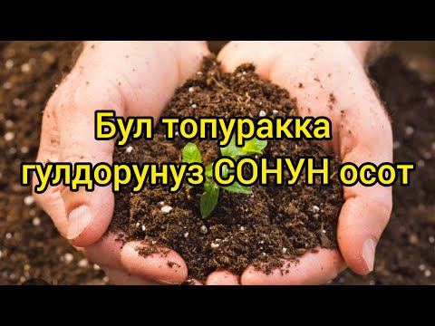 Видео: Гулдор учун универсальный топурак...