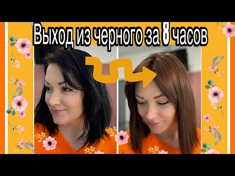 Видео: Выход из черного за 8 часов. Сложное окрашивание. Прощай черный цвет!