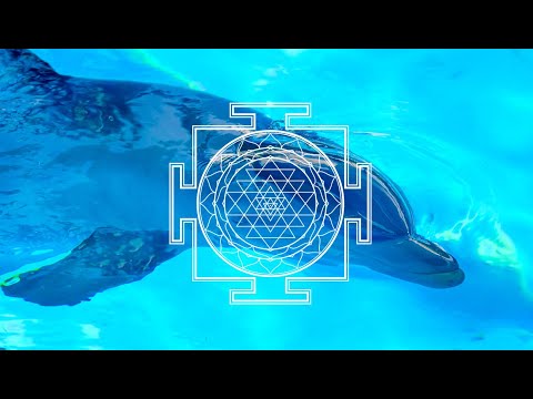 Видео: Дельфинотерапия 🐬  Исцеляющие звуки дельфинов | Dolphins sounds and noises |  Дельфин 🐬