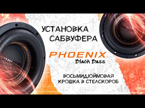 Видео: Установка сабвуфера DL Audio PHOENIX Black Bass 8 в Volkswagen Golf 6