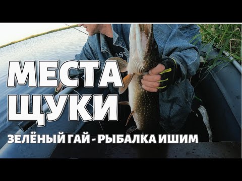 Видео: ЩУЧЬИ МЕСТА 🎣 ЗЕЛЁНЫЙ ГАЙ #РЫБАЛКА #ИШИМ 🎣🎣🎣