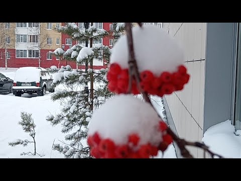 Видео: Снег кружится, летает.