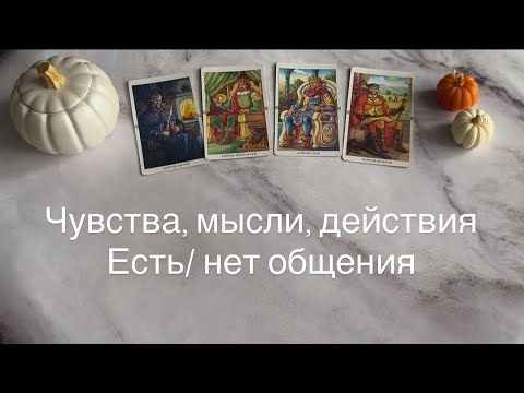 Видео: Чувства, мысли, действия (есть/ нет общения) | 4 короля 