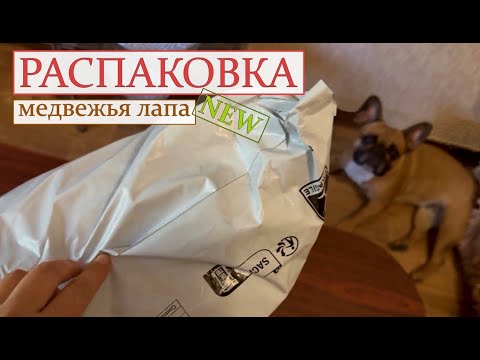 Видео: Товары для собак.  Комфорт для наших питомцев .   #распаковка  #собаки #посылка 