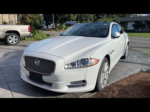 Видео: Jaguar  чистим моем!