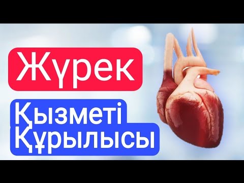 Видео: Жүрек  құрылысы және қызметі