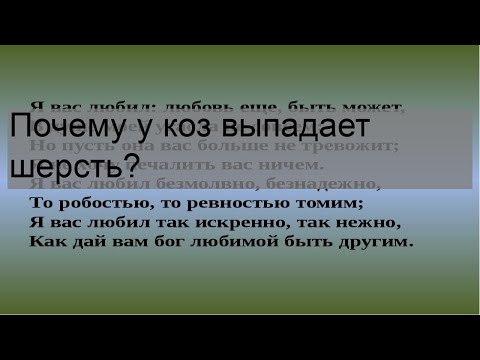 Видео: Почему у коз выпадает шерсть?