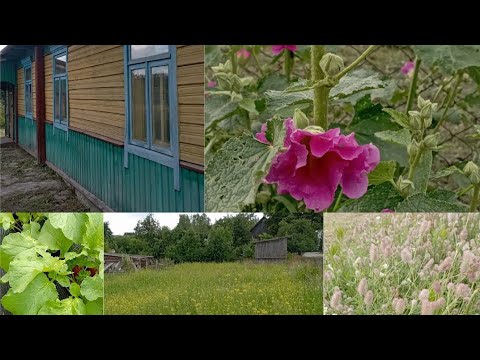 Видео: Родительский дом! Домик в белорусской деревне! 🏡