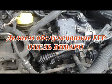 Видео: КАК я сделал обслуживание ЕГР , ОПЕЛЬ ВИВАРО