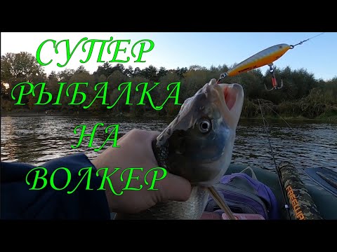 Видео: СУПЕР РЫБАЛКА НА ВОЛКЕР \ Ловля Жереха на песчаных косах \ #самодельныеприманки #жерех #волкер