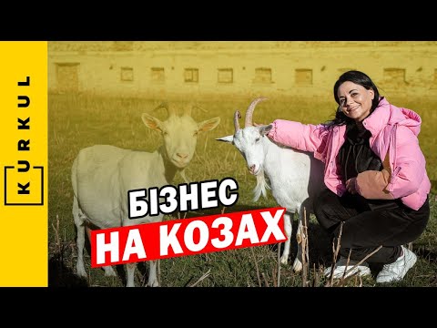 Видео: Скільки коштує коза і чи вигідно продавати молоко — Бабині кози / Куркуль