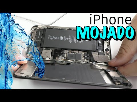 Видео: iPhone 11 мокрый не включается