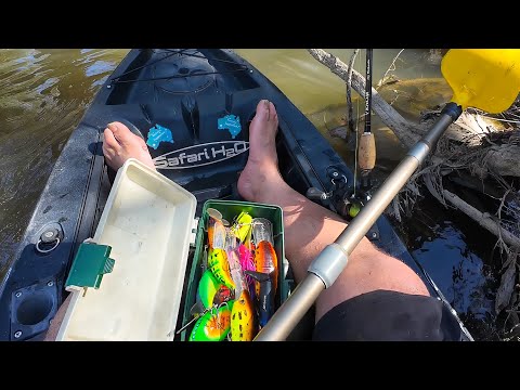 Видео: Ловля муррейской трески с каяка, ловля на вертящиеся воблеры и поверхностные приманки