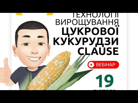 Видео: Лучшие ГИБРИДЫ сахарной кукурузы #Clause