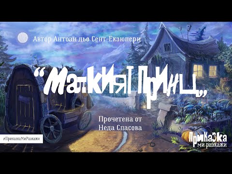 Видео: "Малкият принц" и Неда Спасова