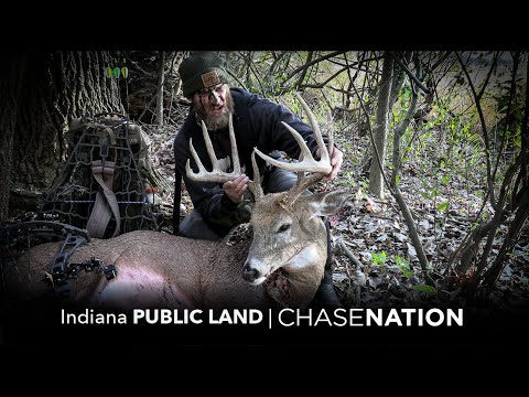 Видео: ОБЩЕСТВЕННАЯ ЗЕМЛЯ Big Buck в Индиане