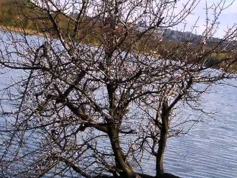 Видео: Алчевск этот город самый лучший