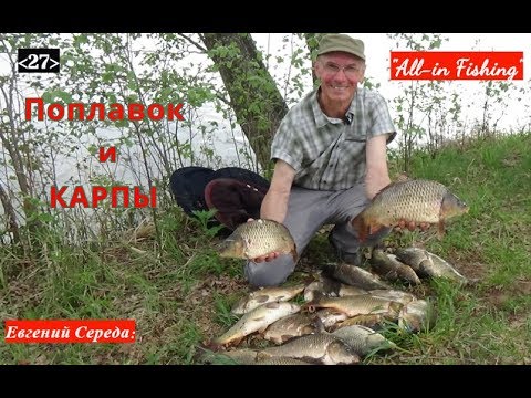 Видео: Поплавок и карпы. "All-in Fishing". Вып. 27.